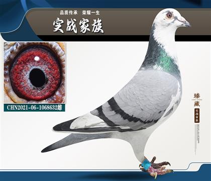 凡登布克基特爾