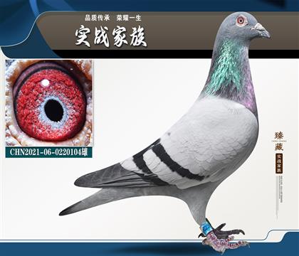 一直贏