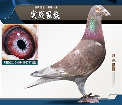 回春陽彼得曼德斯