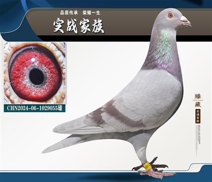 彼得曼德斯近血