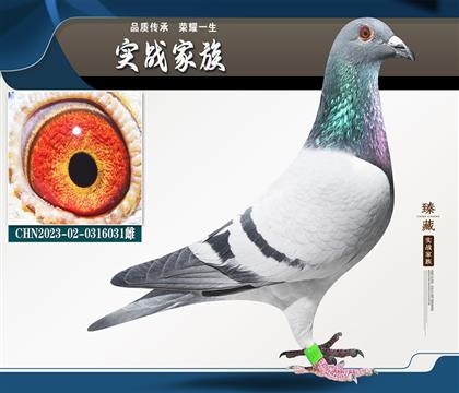 ܊^X츣̖