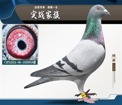 西格穆勒 關(guān)關(guān)上岸系