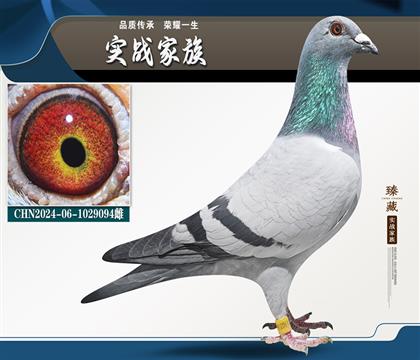 蓋比”冬日閃電988”近親直女
