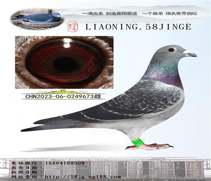 FigowꡱСwؽH Ŀ673