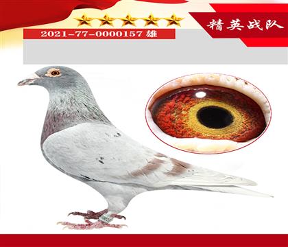 ղɭt