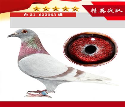 _(ti)ղɭt