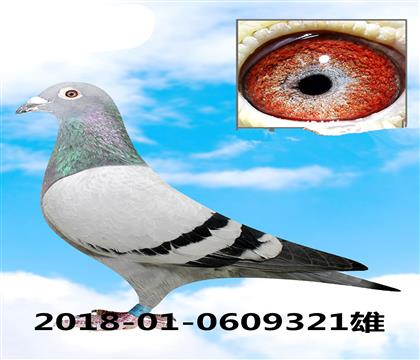 Ұِ