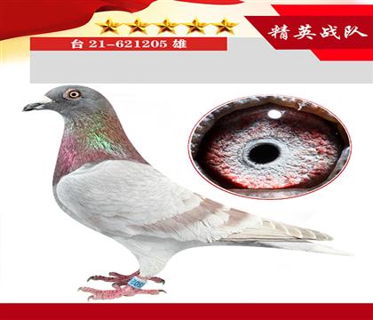 _(ti)ղɭt