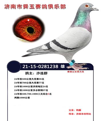 大三關(guān)綜合5名.1000公里24名 兩跑1000公里