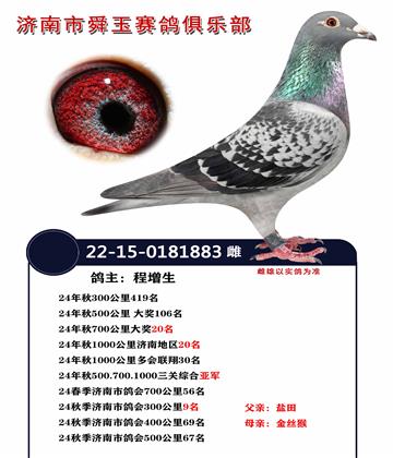 三關(guān)綜合亞軍 1000公里20名