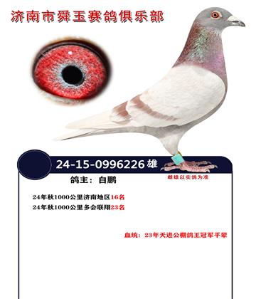 1000公里16名
