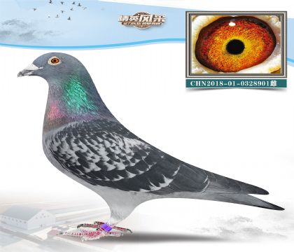 10.LI(y)ŭӴ.0328901