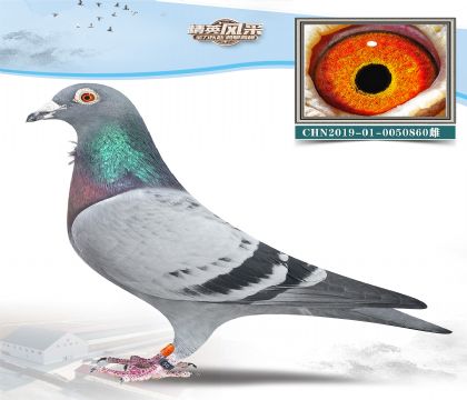 12.бӴ.0050860