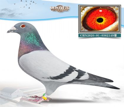 1.С׵xD˹.0362149