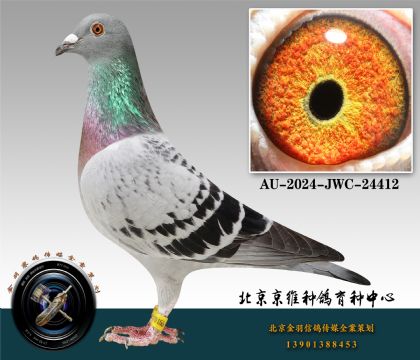 179-AU-2024-JWC-24412