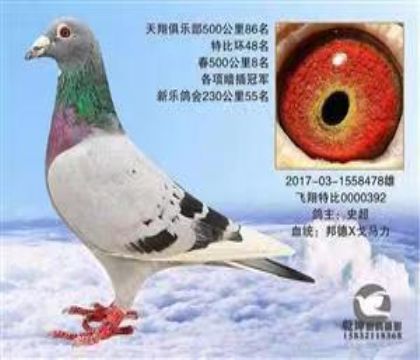 5008