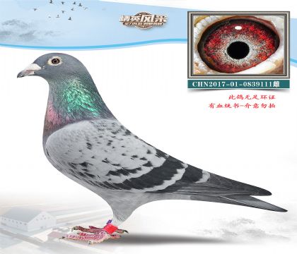 3.ղɭxӢ˹xݿ.0839111