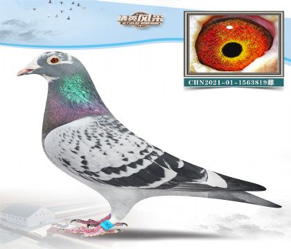 4.wxWѪϵ.1563819