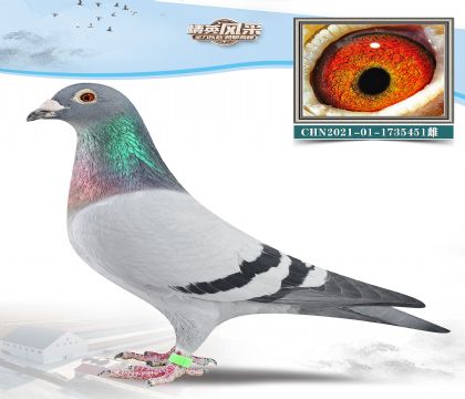 6.mŬһ̖O.1735451