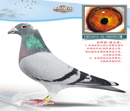 15.W(lin)Ӣ˹178ѪO.0005953