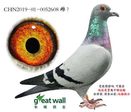 4.J?sh)xxW.0052608