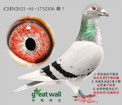 8.LvӴ.1732336