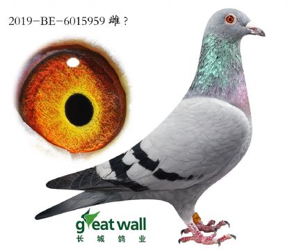 10 .LwѪϵ.6015959