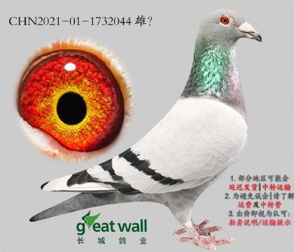 9.LLһ̖O.1732044