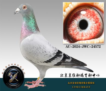227-AU-2024-JWC-24572