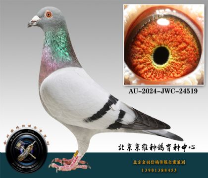 230-AU-2024-JWC-24519