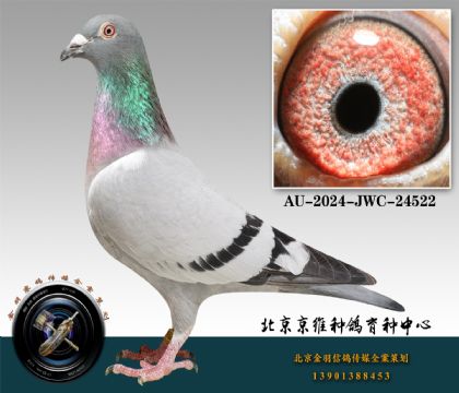 234-AU-2024-JWC-24522