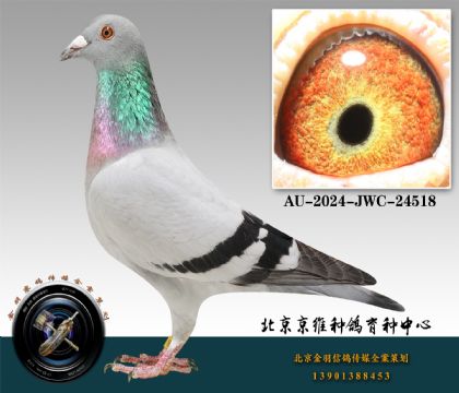 250-AU-2024-JWC-24518