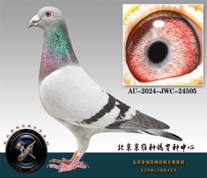 253-AU-2024-JWC-24505
