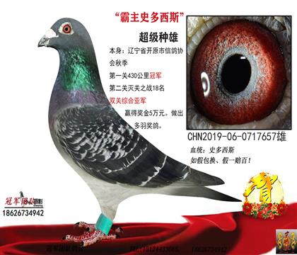 父親一冠軍史多西斯