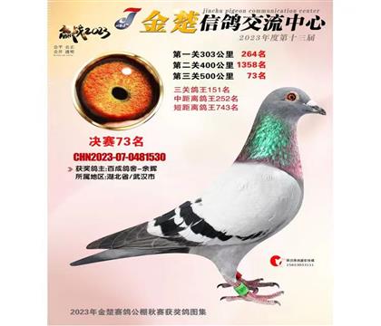 哥哥做出金楚決賽73名