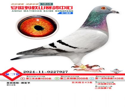 安徽蚂蚁山二次加站7名