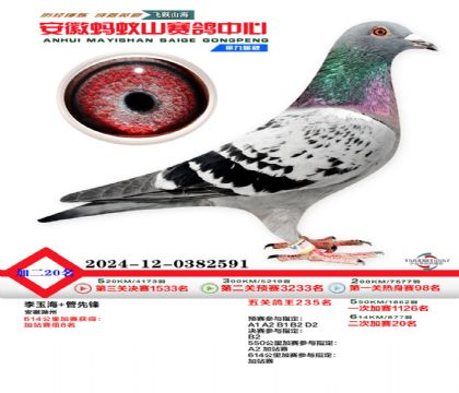 安徽蚂蚁山二次加站20名