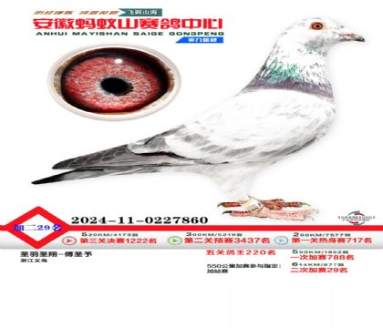 安徽蚂蚁山二次加站29名
