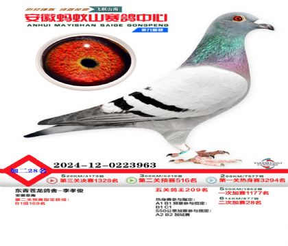 安徽蚂蚁山二次加站28名