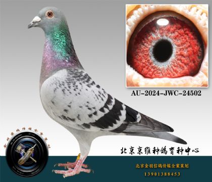 273-AU-2024-JWC-24502