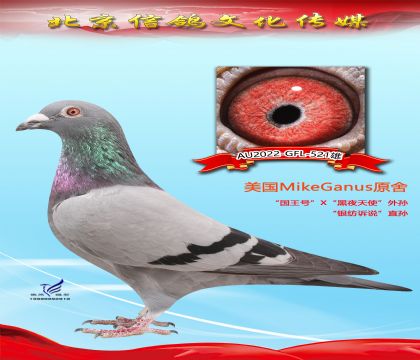 美國甘納斯原舍521