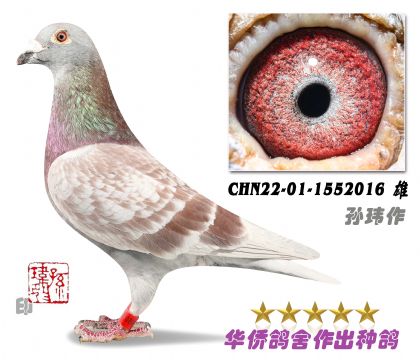 3̖(ho)--ղɭt019ϵ22-01-1552016-