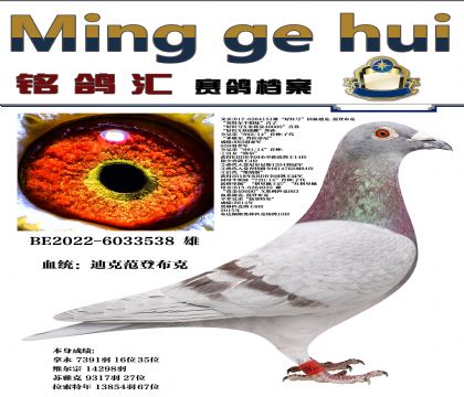 üt̖(ho)Ѫؠƽ݅
