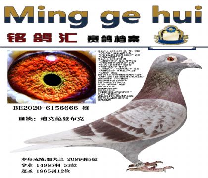 Ͽ˷ǲ˺üt̖(ho)ֱO