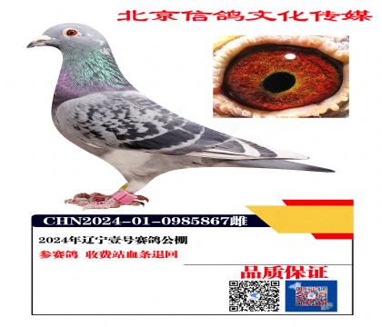 ����Ҽ�Ų�����