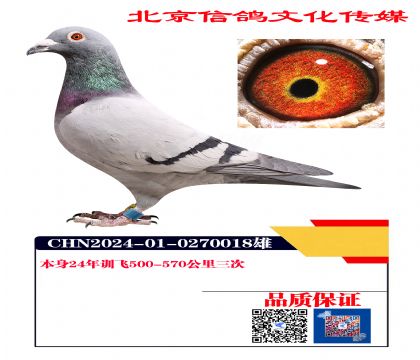 ����146��ͬ��ĸ018