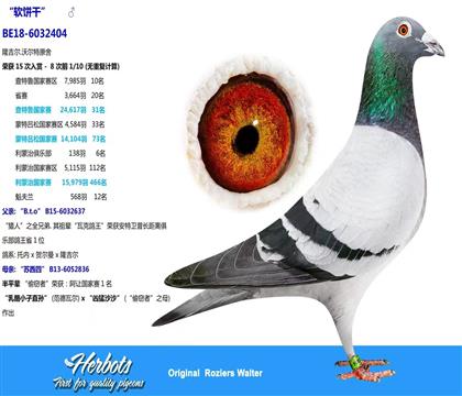 ԭ�h(hu��n)����(y��u)�������r�����l(w��i)���L���x�㘷��������܊