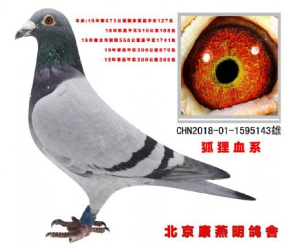 ِƽِ^(q)573ِ127