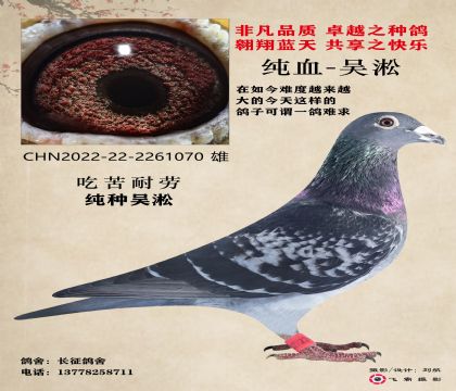 吳淞