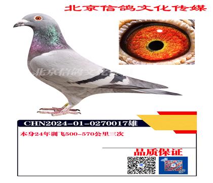 ����146��ͬ��ĸ017